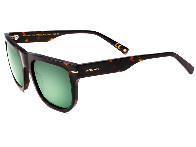 Polar Gold sunglasses frame