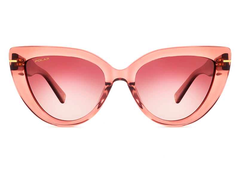 Polar Gold sunglasses frame 