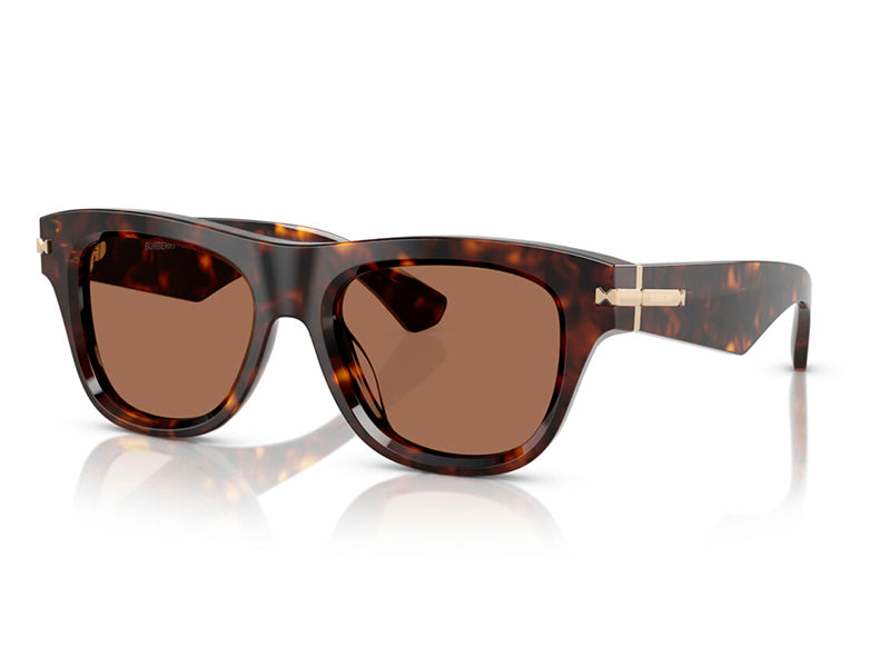 Ochelari de soare Burberry BE4438U-300273-53, din Acetat, p/u barbati