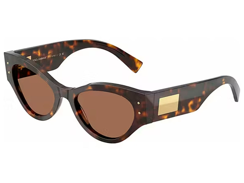 Ochelari de soare Dolce Gabbana DG4480-502/73-53, din Acetat, p/u femei