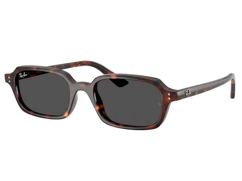 Ray Ban sunglasses frame