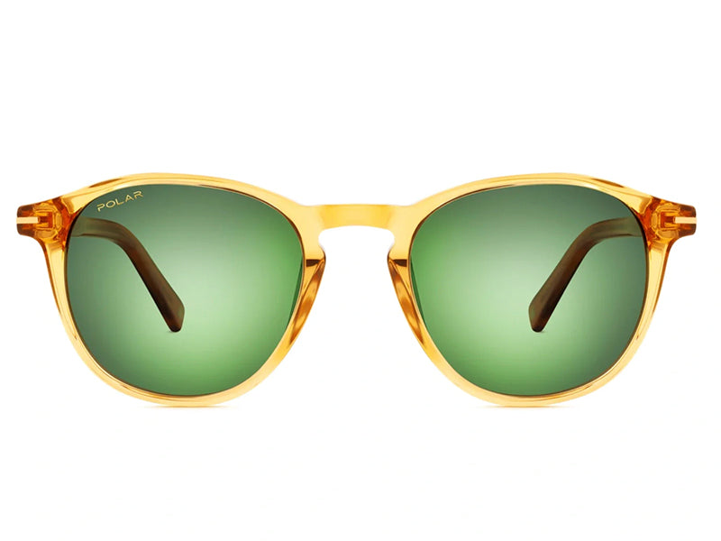 Polar Gold sunglasses frame 