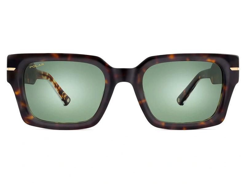 Polar Gold Milo sunglasses col. 428/G, 2025, made of acetate, for men