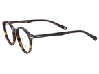 Rama optica Polar Gold 1020 col. 428-51, 2025, din Acetat, unisex