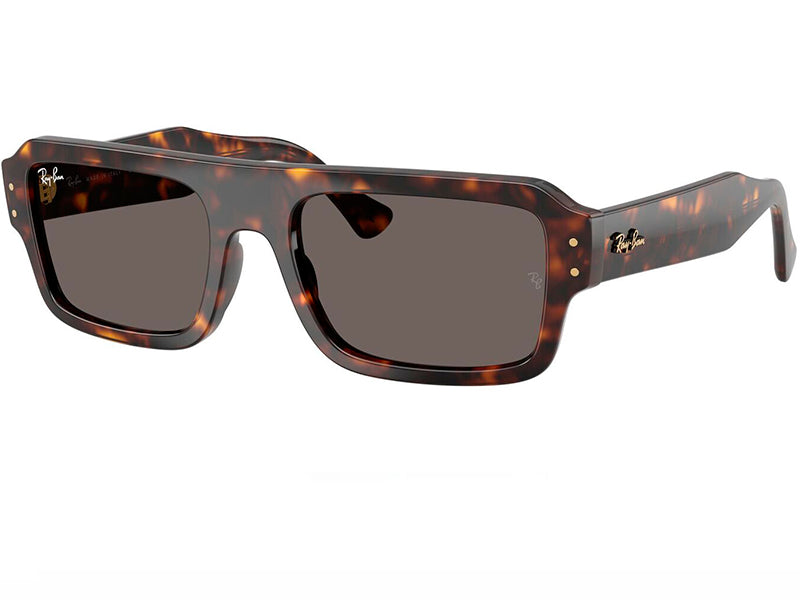 Ochelari de soare Ray Ban RB4454-1359B1-56, din Acetat, p/u barbati