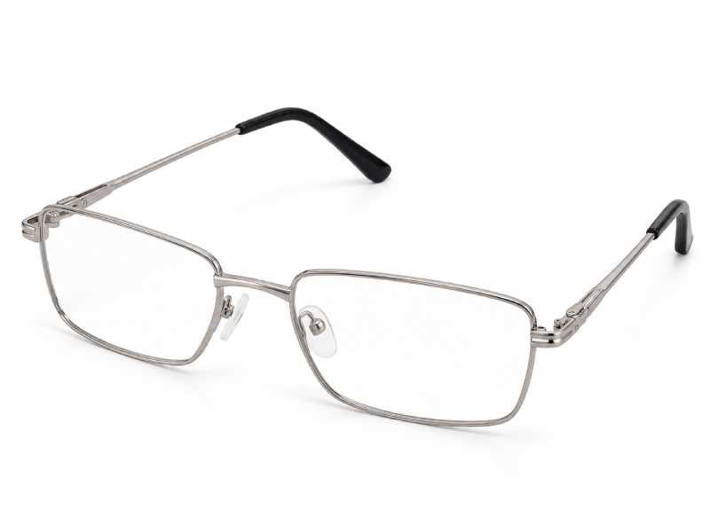 Rama optica Montana  873A, 2024, matt silver, din Metal, barbati + husa